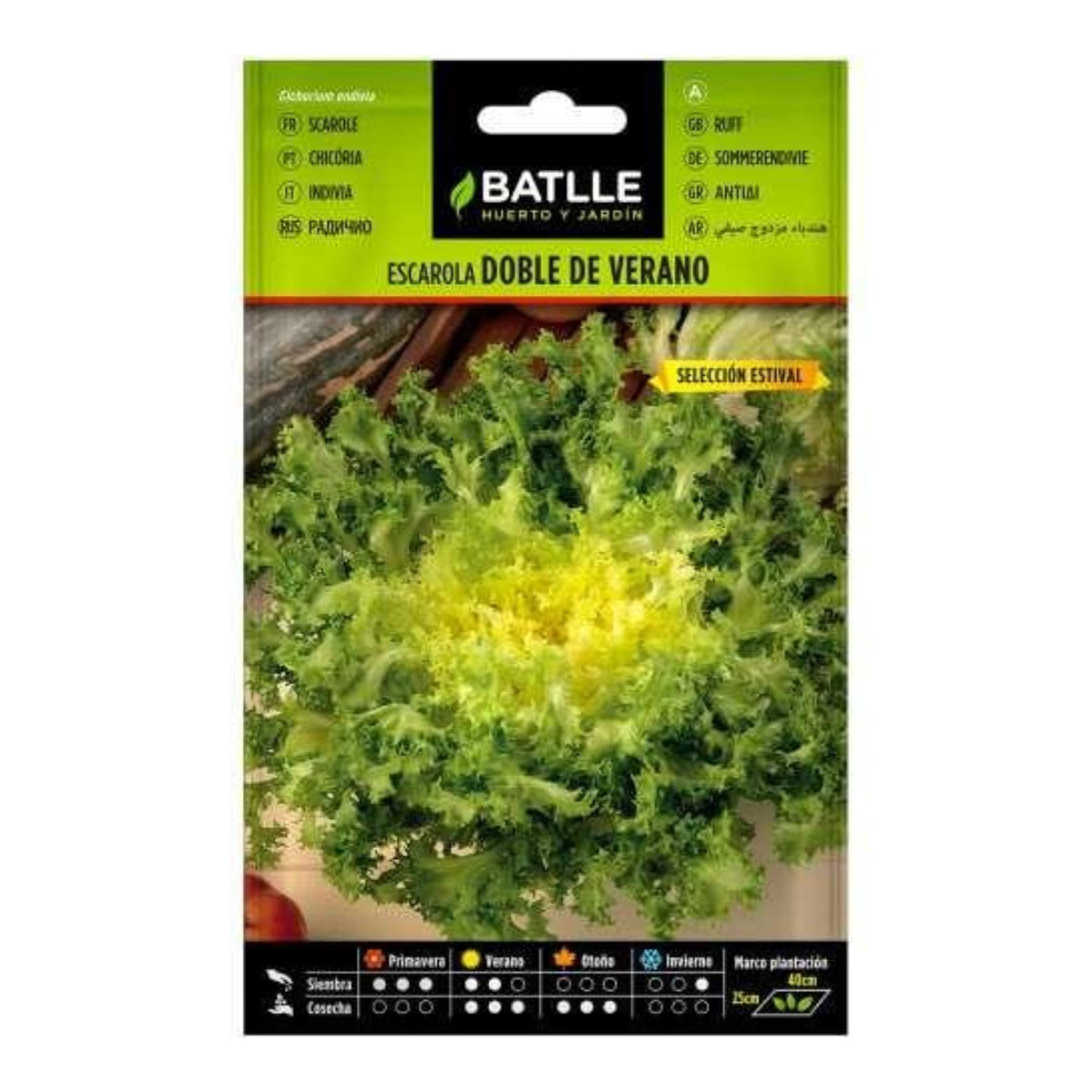 Frön av dubbla sommarendivor Batlle