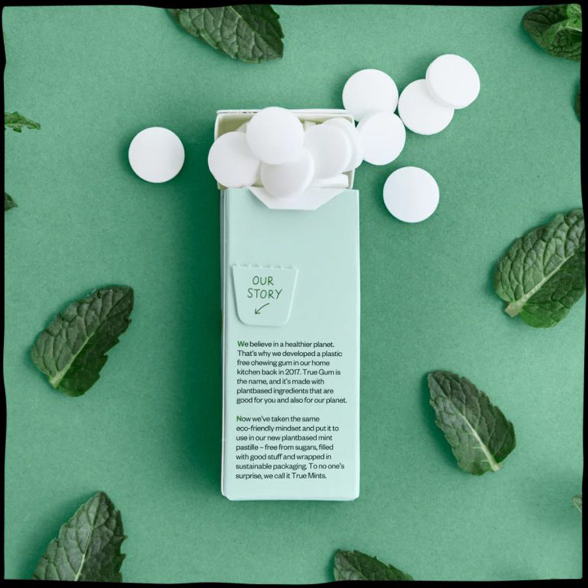 Caramelle senza plastica alla menta fresca True Mints 13 g