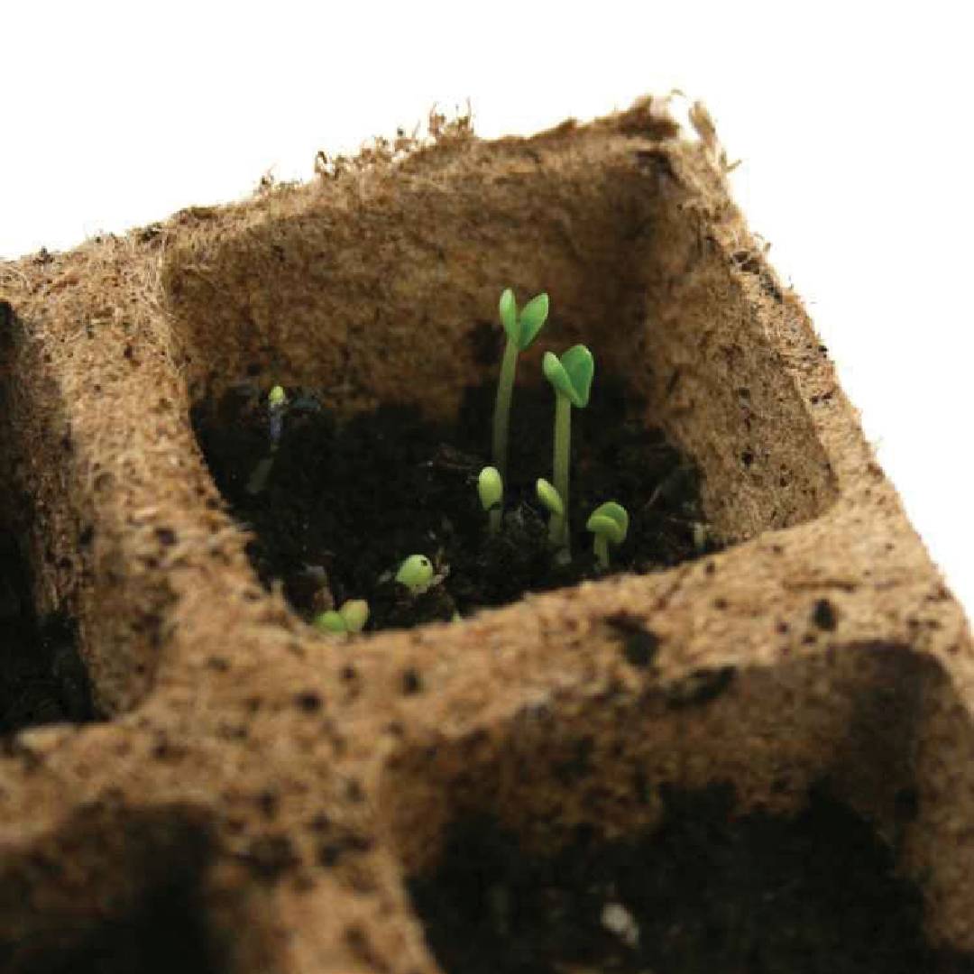 Pak vierkante vezelbak voor zaaibedden Planeta Huerto 10 stuks