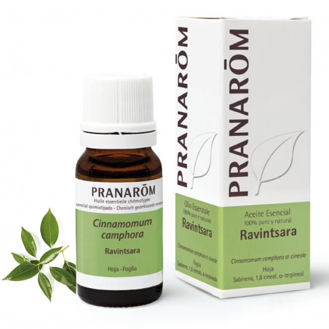 Huile essentielle Ravintsara Pranarom 10 ml