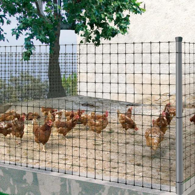 Kippengaas Avinet Nortene 24 x 27 mm