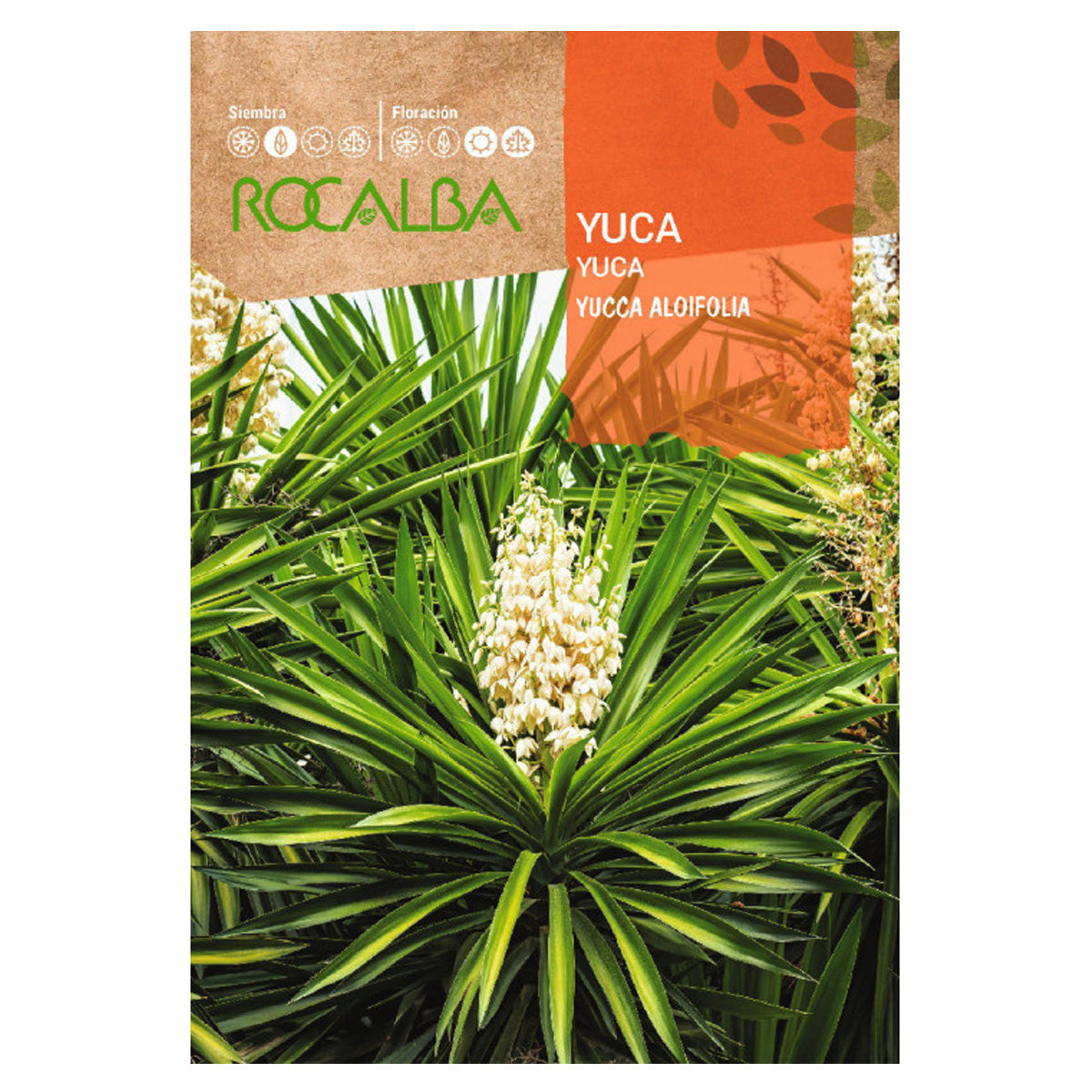 Yuccafrön, Rocalba