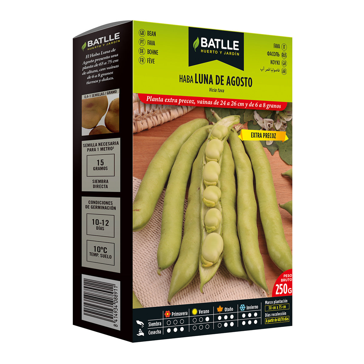Extra early broad bean seeds Luna de Agosto 250 g Batlle