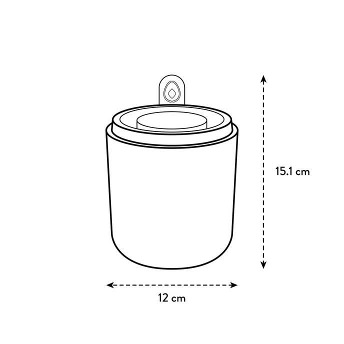 Amazing Avocado Elho Terra avocado germinator pot