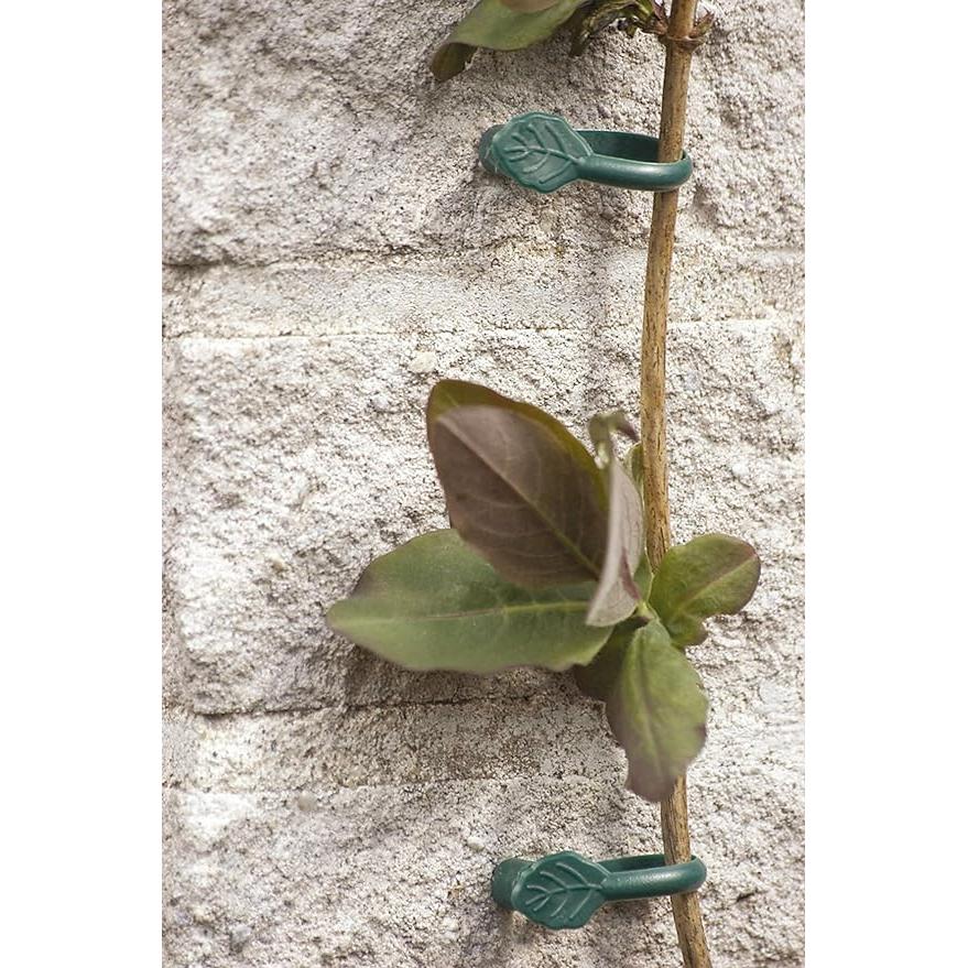 Biotop climbing plant clamp with nail, 8 pcs