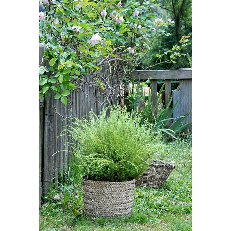 Bloempothoes Basket Rinia Natural 35x32 cm