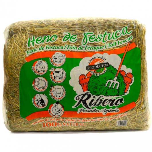 Fieno di festuca per conigli e roditori 5 kg