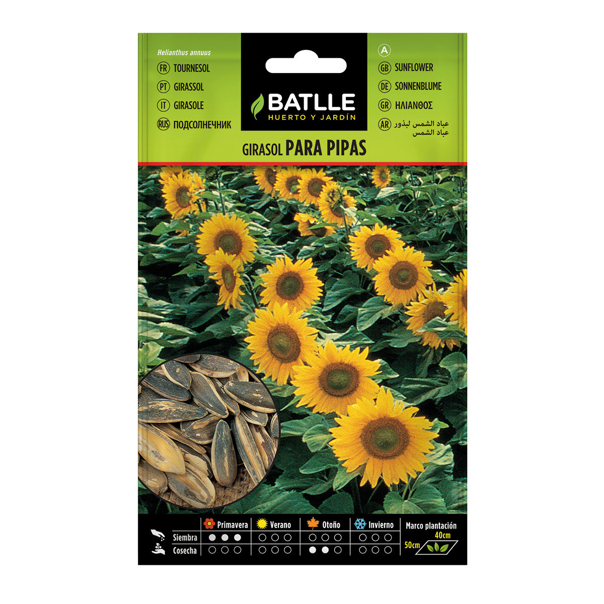 Zonnebloempitten voor pipas Batlle