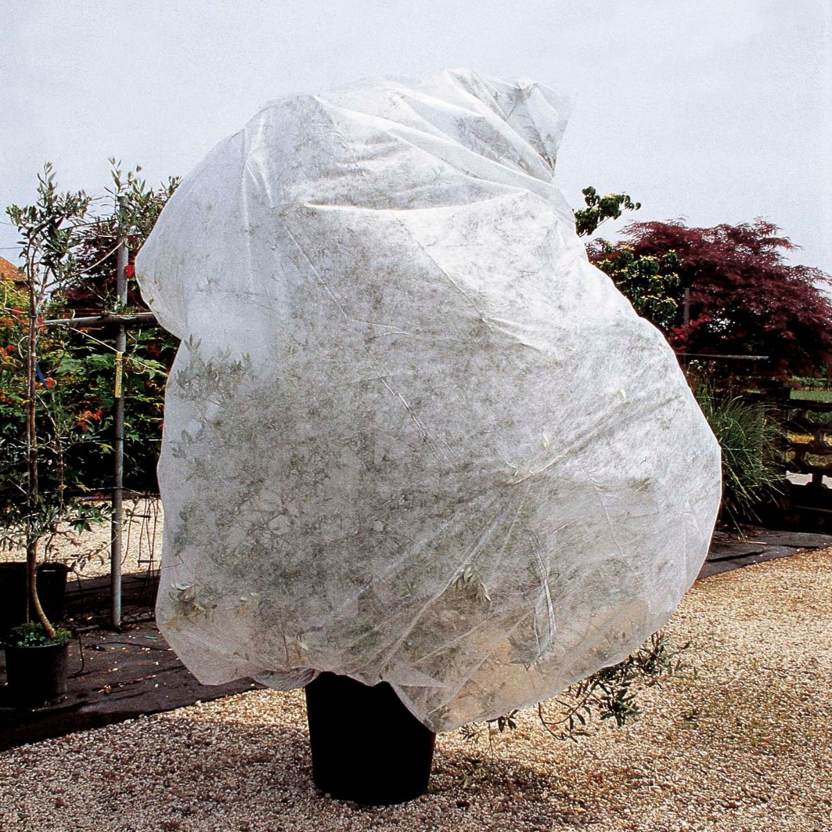 Verdemax Anti-Frost Hibernation Cover 2 pcs 1.5 x 3.6 m
