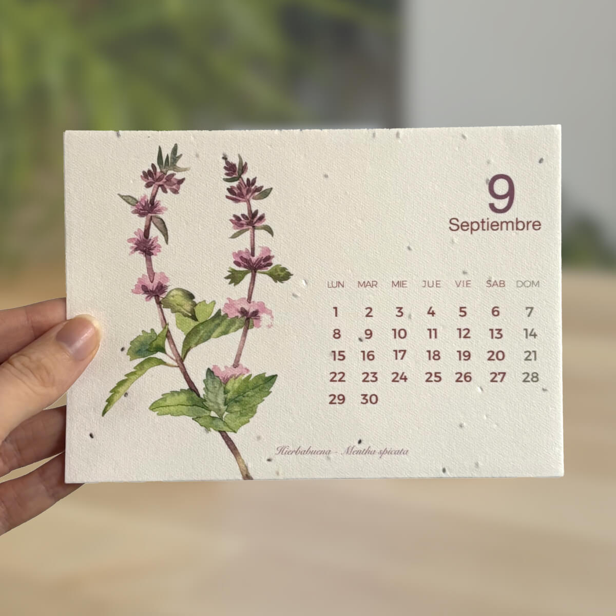 Bepflanzbarer Kalender 2025 Planet Orchard Zeit in Natur verwandeln