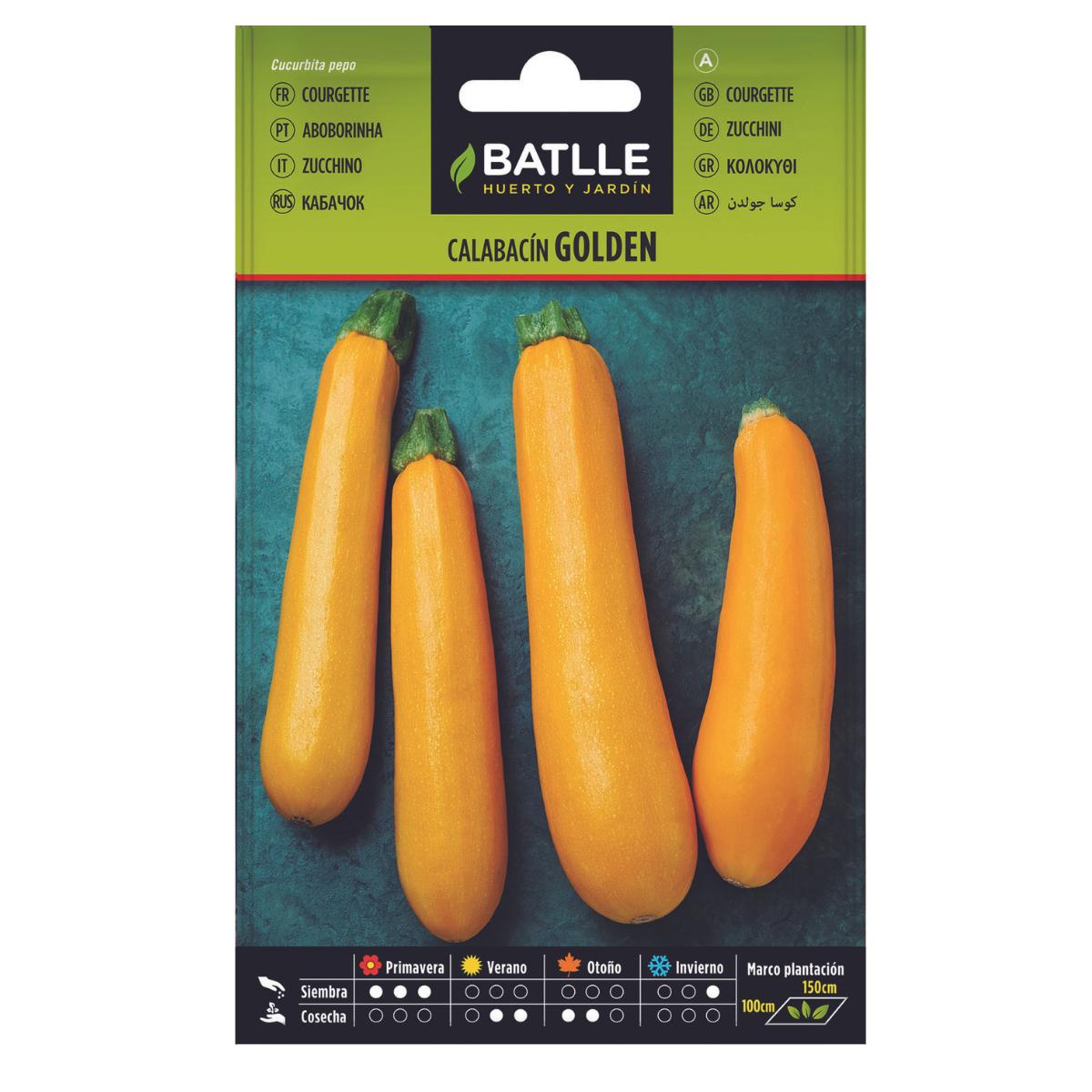 Semi di zucchina Golden Batlle