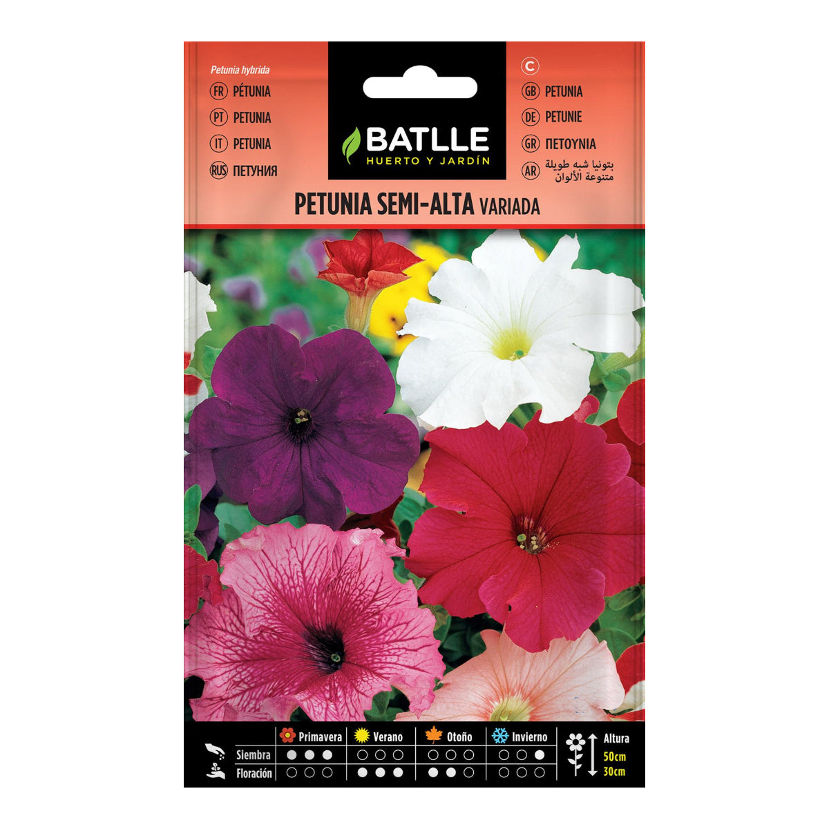 Verschiedene halbhohe Petuniasamen Batlle