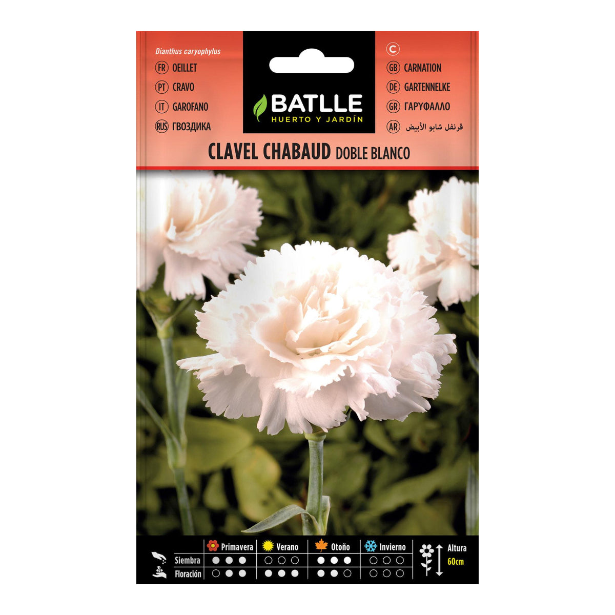 Double White Carnation Seeds Batlle