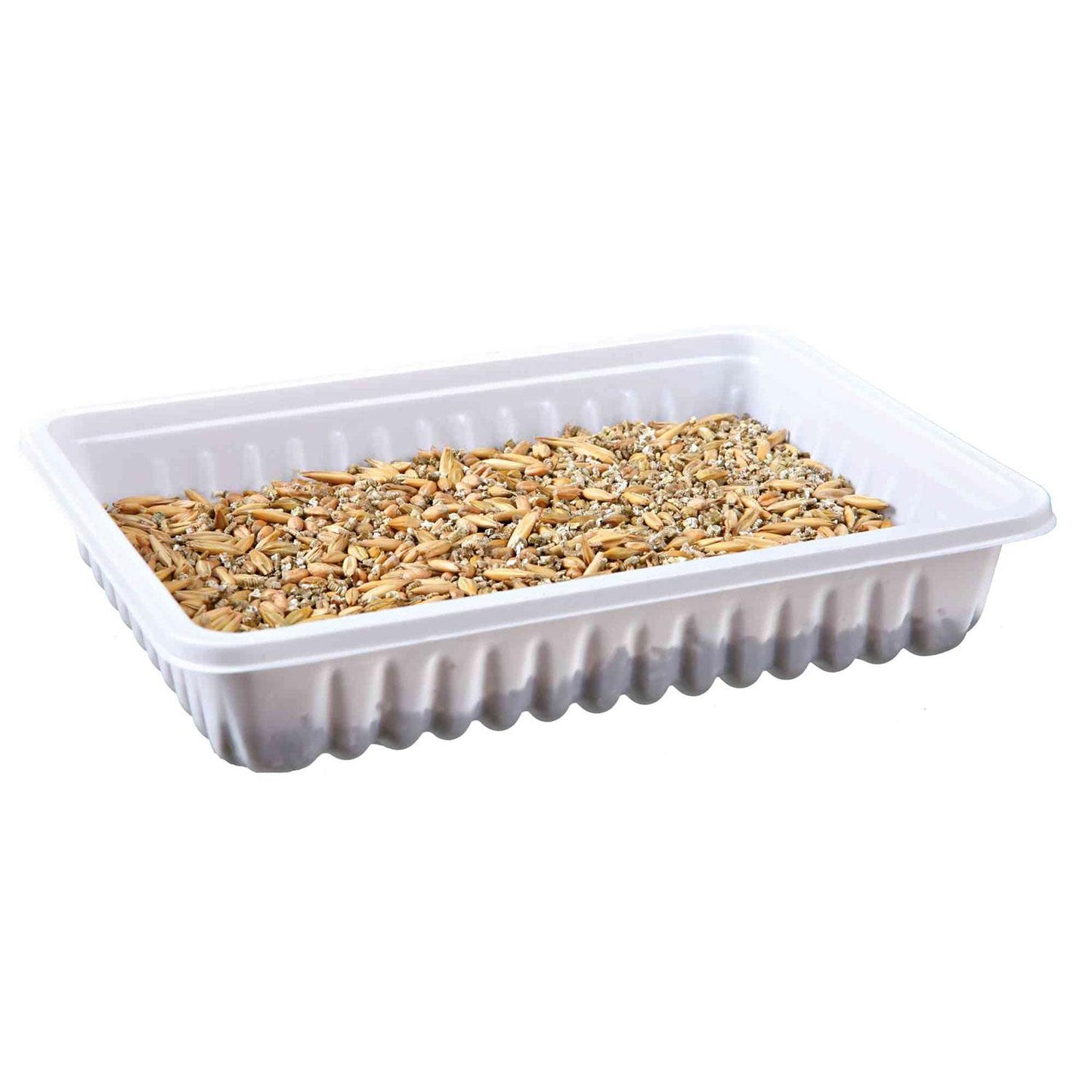 Trixie Grass tray for rodents 100 g