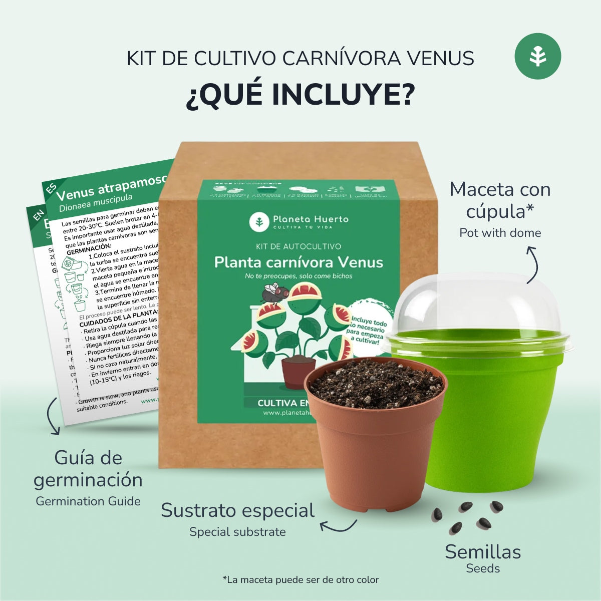 Kit di autocoltivazione Trappola di Venere pianta carnivora Pianeta giardino