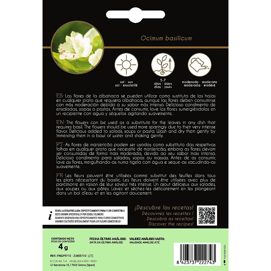 Essbare Blumensamen Basilikum Rocalba