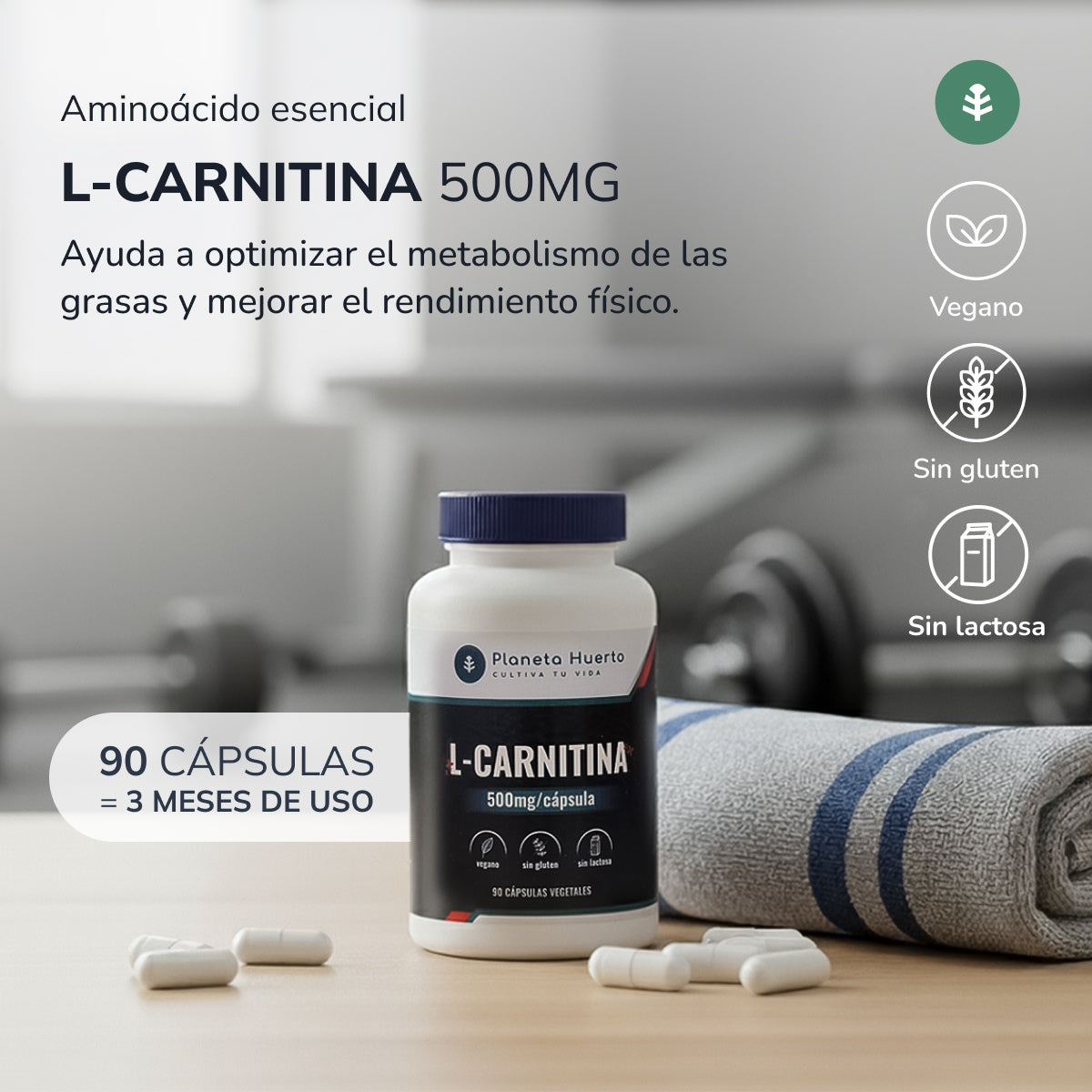 L-Carnitine 500 mg Planeta Huerto 90 Caps.
