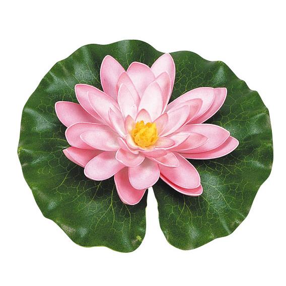 Pink water lily with drops