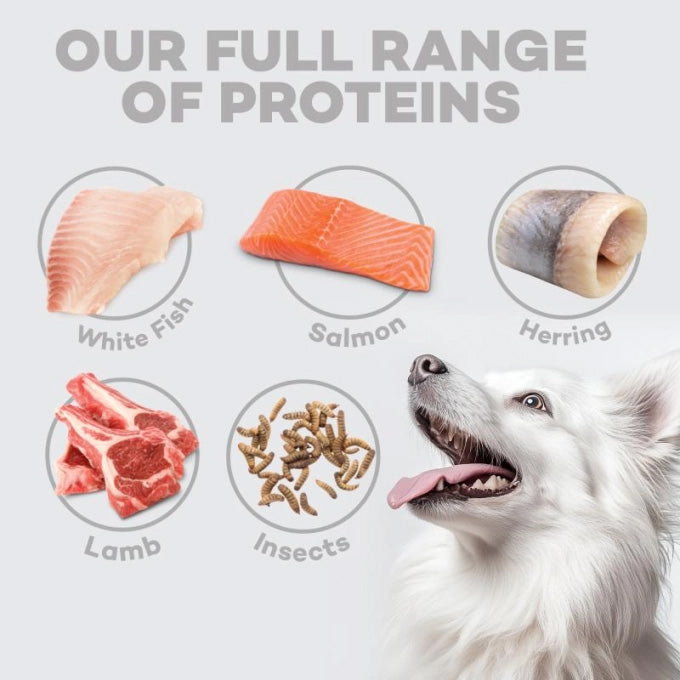 Nature's Protection White Dog Grain-Free Adult Small Breed Lamb Food 1.5 kg
