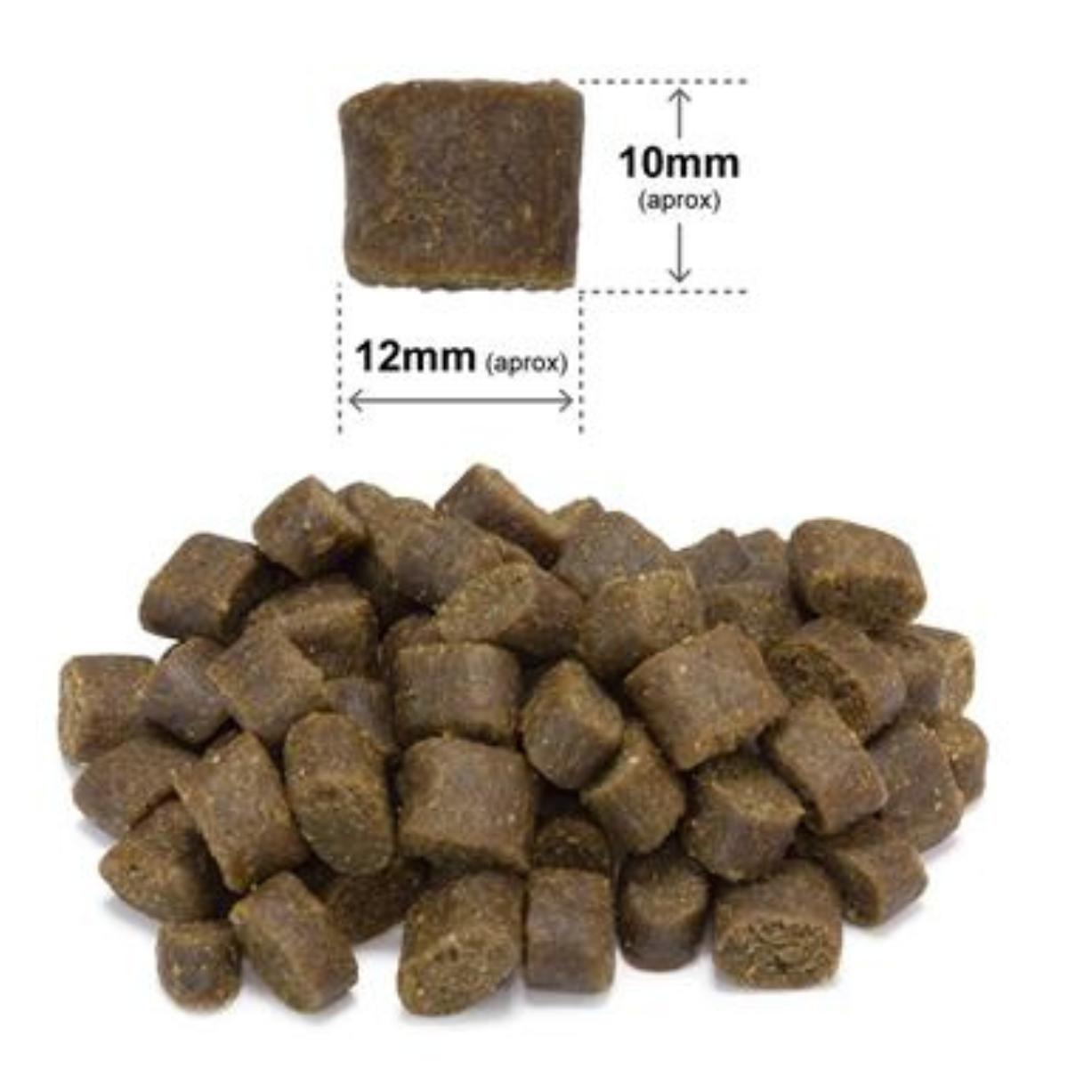 Fresh Ocean Fish Arquivet Halfvochtig compleet voer voor honden 100 g