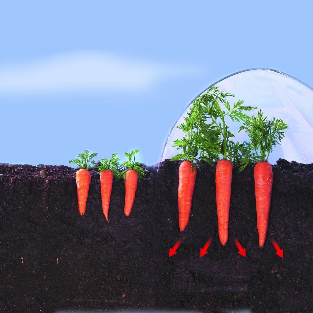 Nortene Climafilm Early Vegetable Growing Film 2 x 5 m