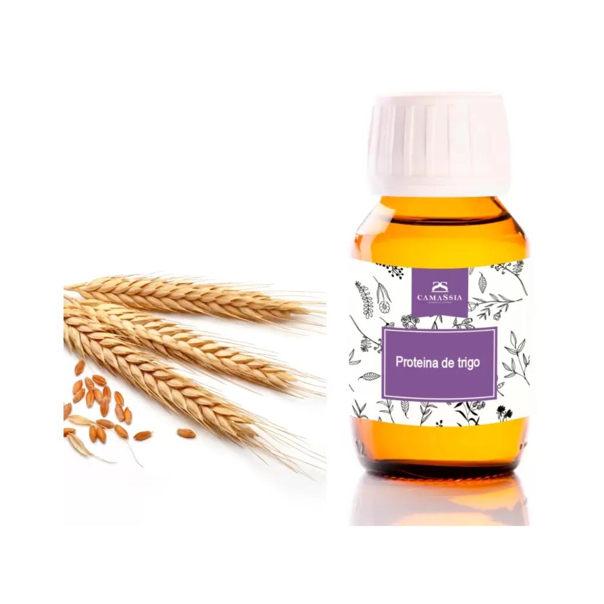 Białko pszeniczne, 50 ml. Camassia