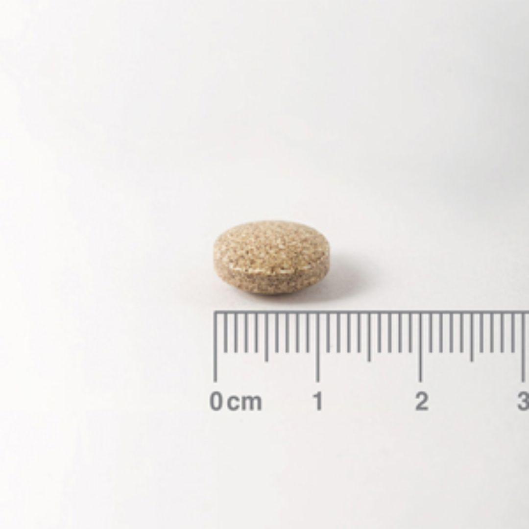 Ginkgo Biloba 6.000 mg, Lamberts 180 Tabletten