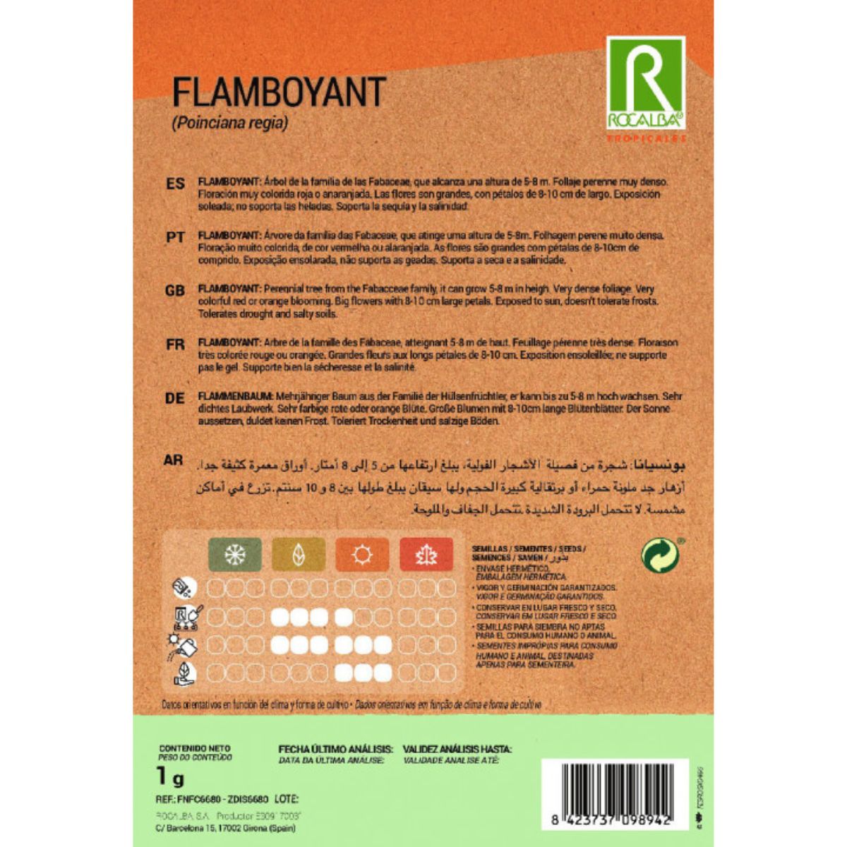 Samen des Flamboyant Ponciana regia