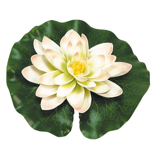 Witte waterlelie met druppels