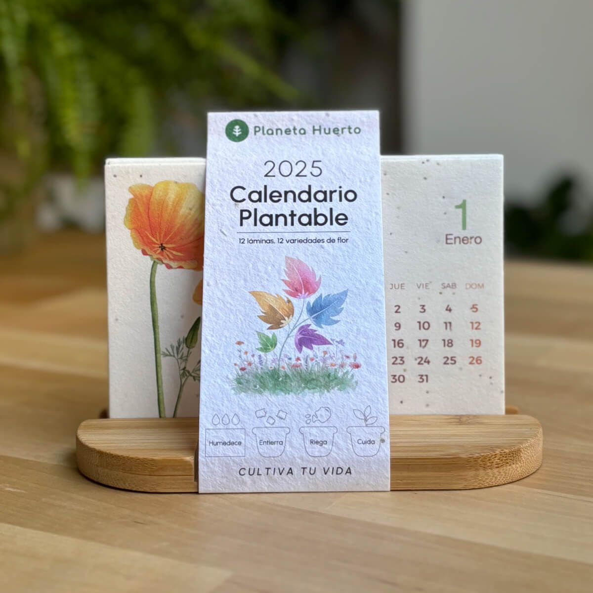 Bepflanzbarer Kalender 2025 Planet Orchard Zeit in Natur verwandeln