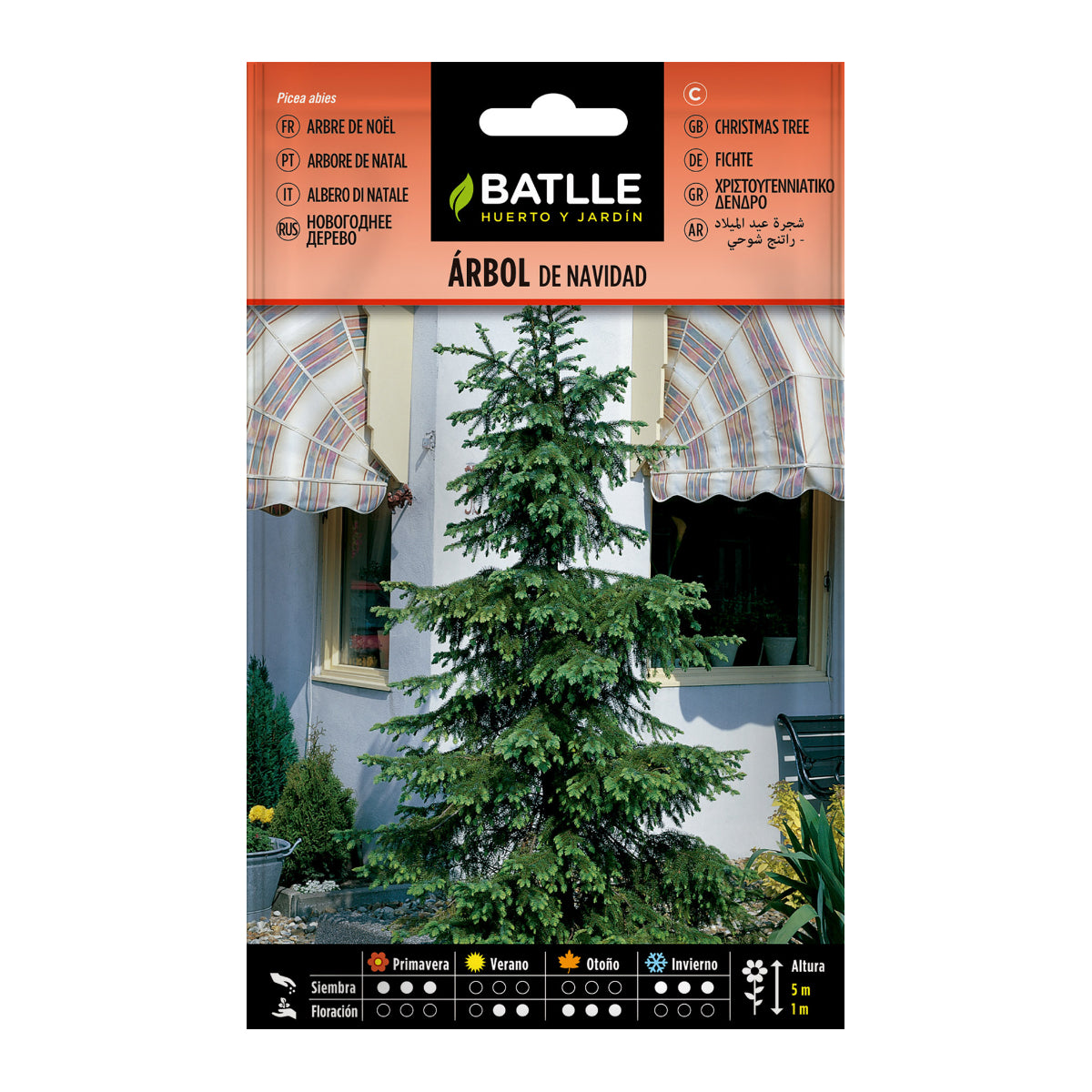 Semi di albero di Natale Batlle