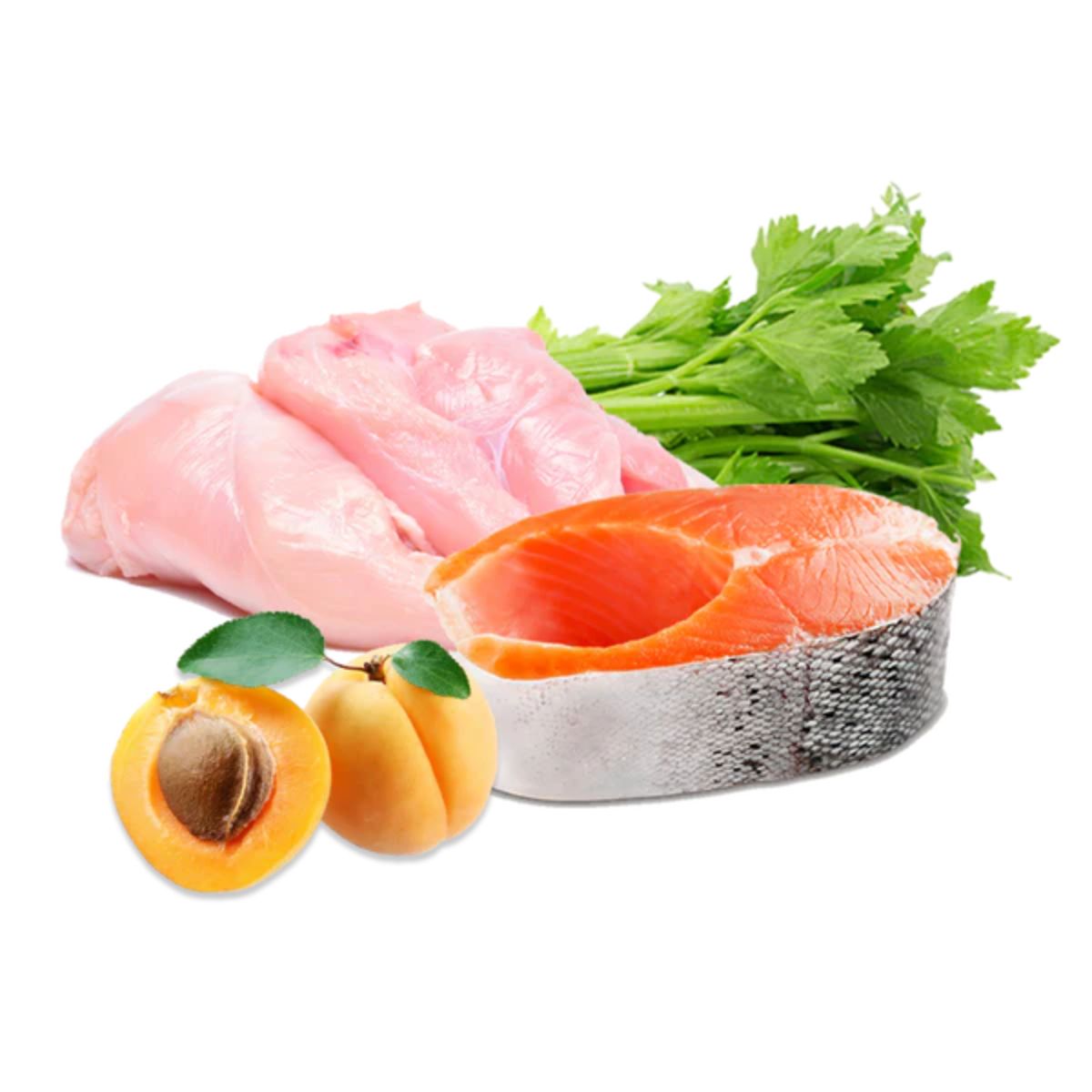 Barf-Nassfutter für Hunde mit Truthahn und Lachs Select BIO Puromenu 400 g