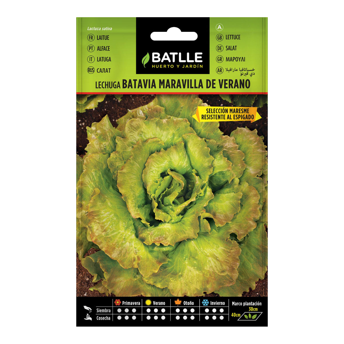 Batlle Summer Wonder Lettuce Seeds