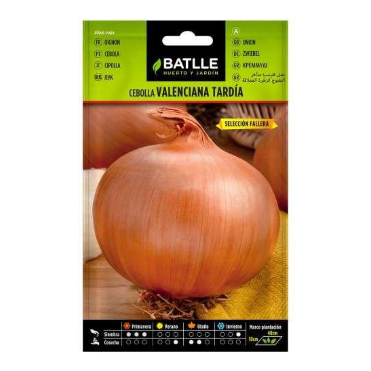 Semi di cipolla tardiva valenciana sel. Fallera Batlle
