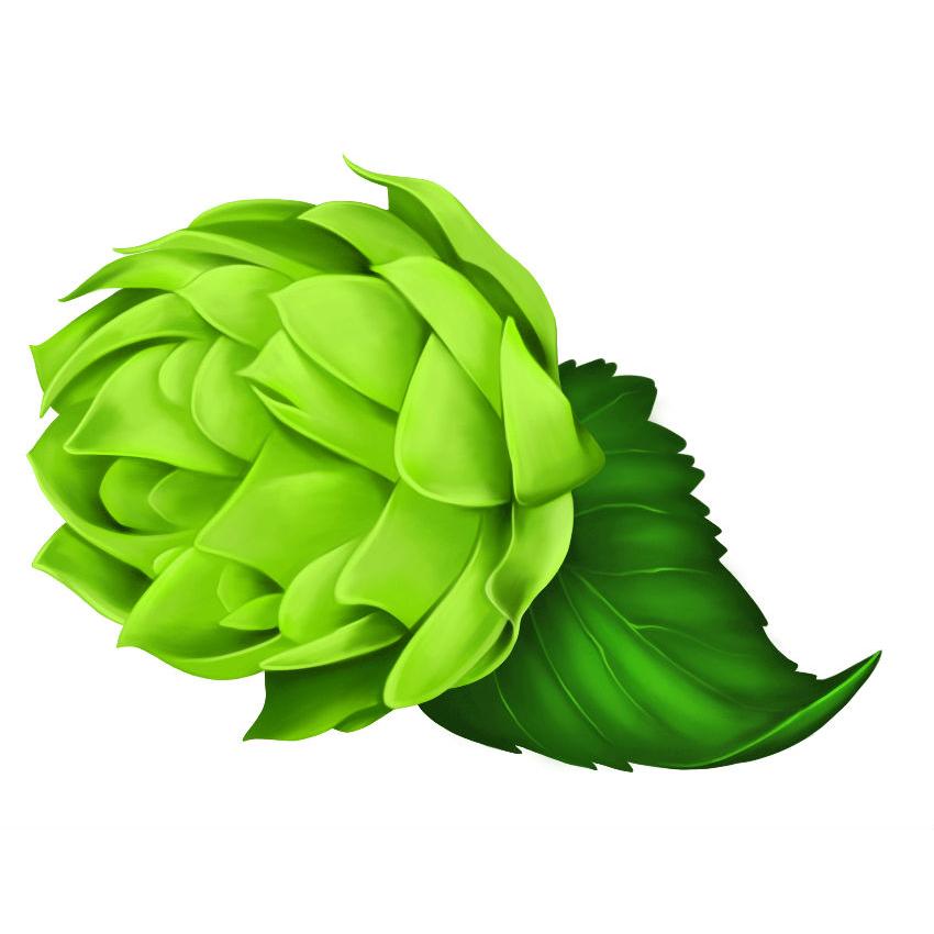 Volumenshampoo Honig und Bier 250 ml