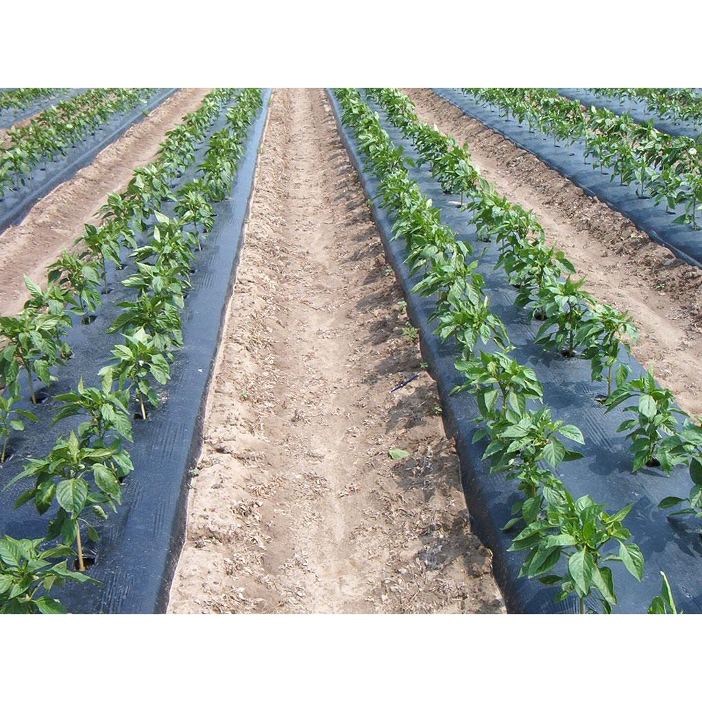 Folia mikroperforowana 1,4 x 10 m Faura