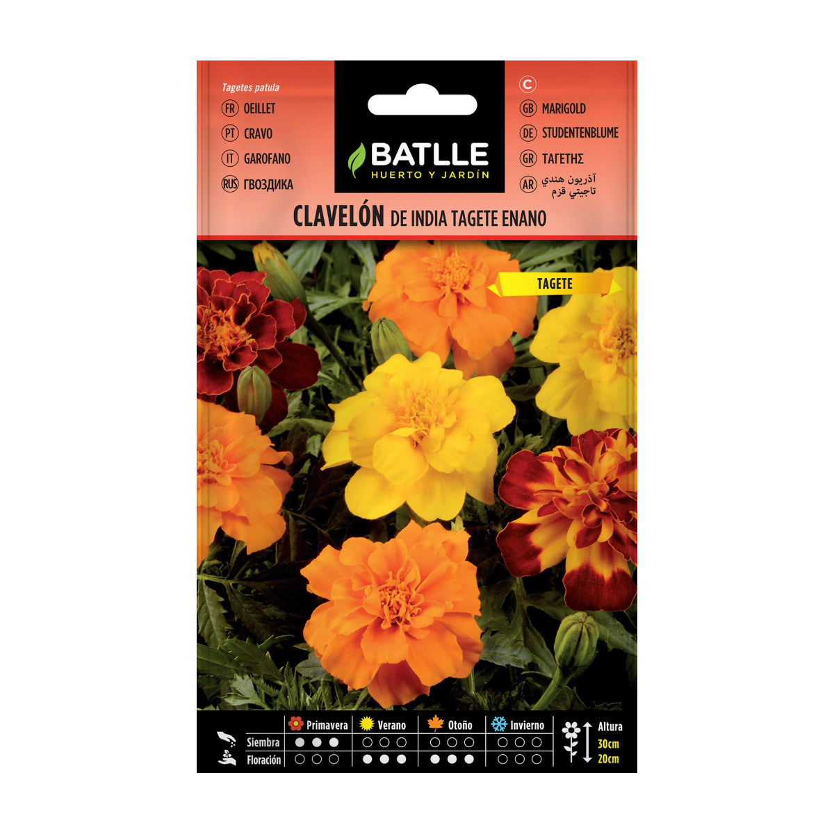 Indian marigold seeds Batlle dwarf marigold