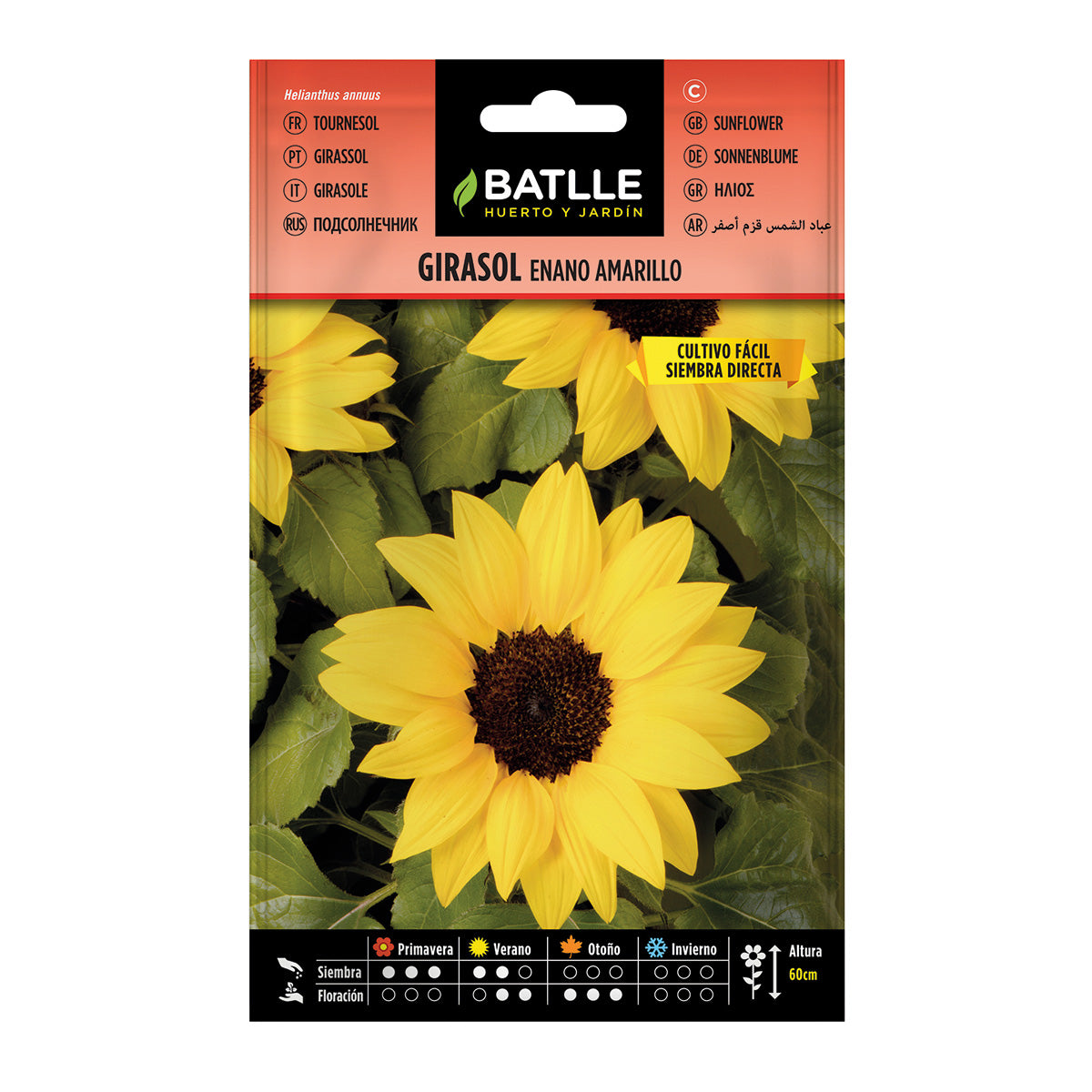 Graines de tournesol nain jaune Batlle