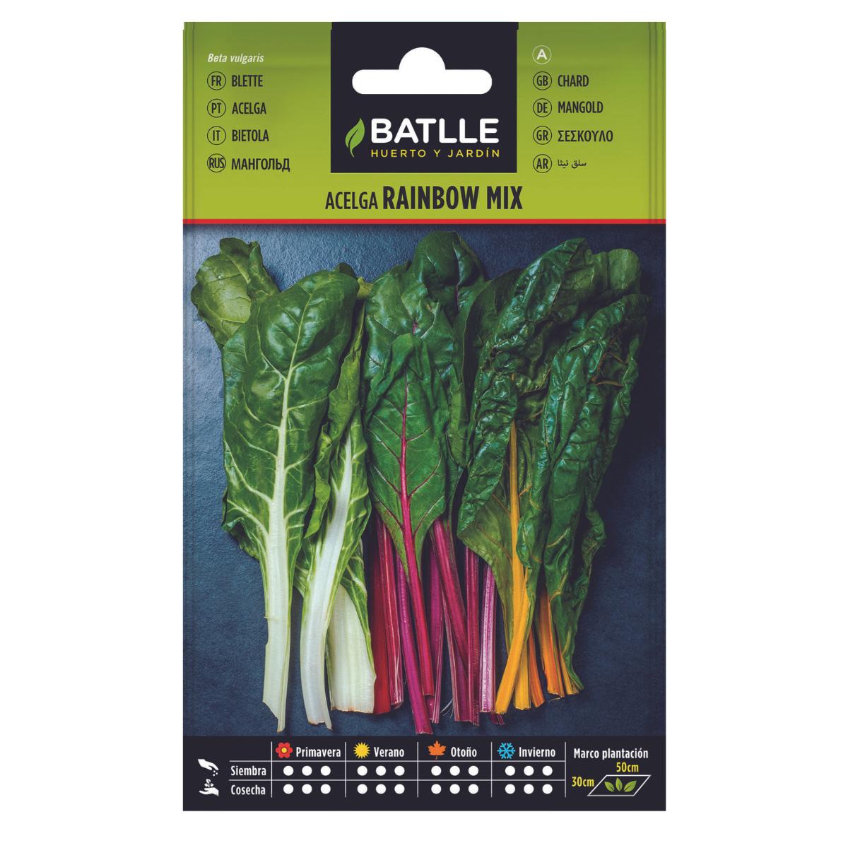 Rainbow Mix Mangold-Samen Batlle
