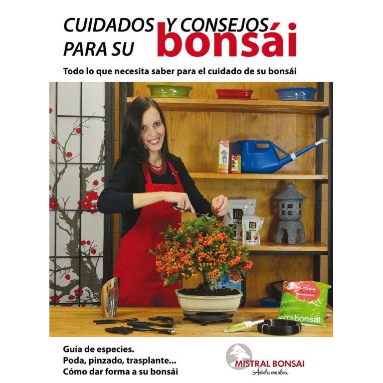 Care guide and tips for your bonsai
