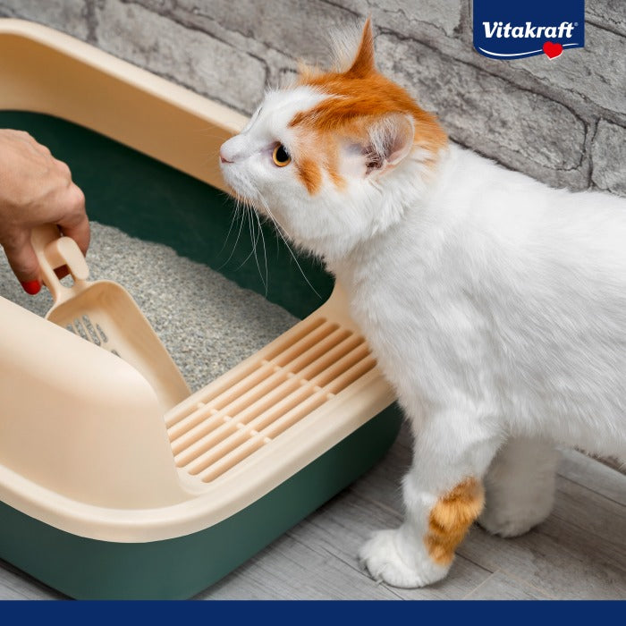 Vitakraft Compact Ultra Sabbia agglomerante 4 L