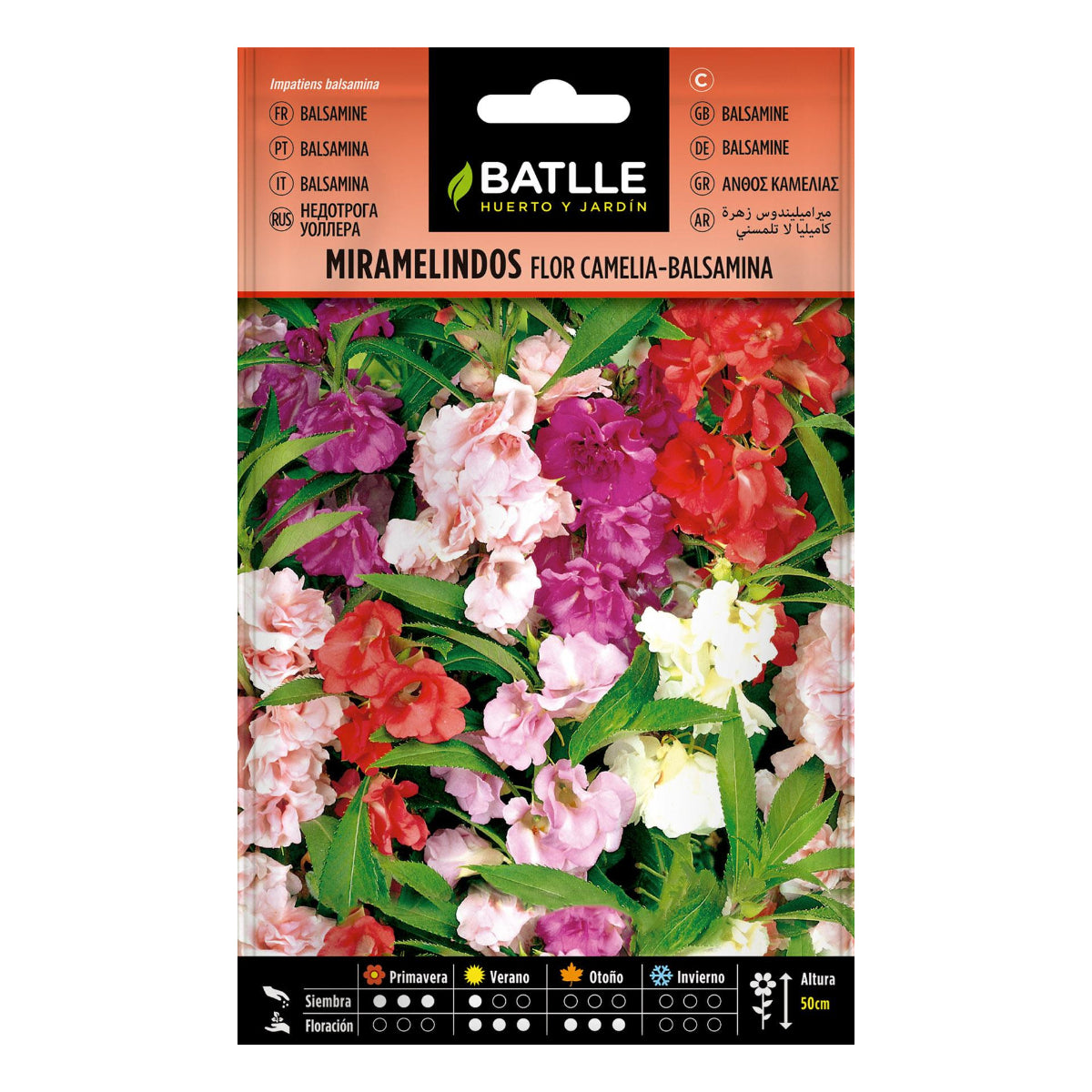 Miramelindos-Samen, Blume Camelia Balsamia Batlle