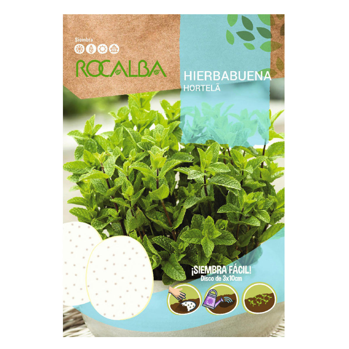 Myntafrön i skivor, Rocalba