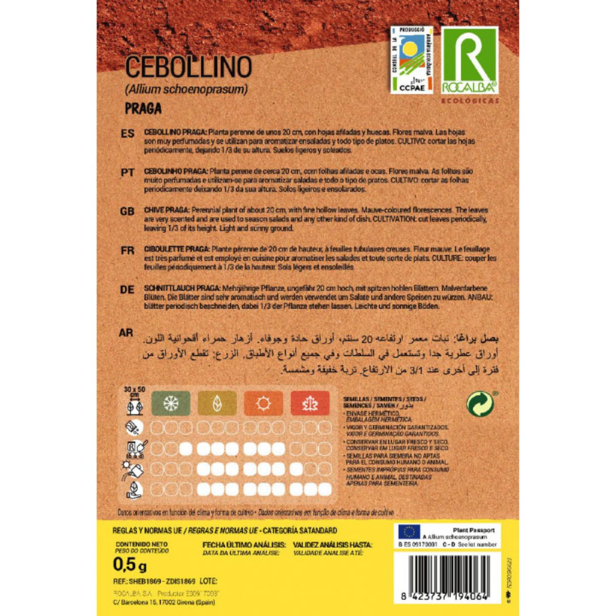 Bio-Schnittlauch-Samen Praga von Rocalba