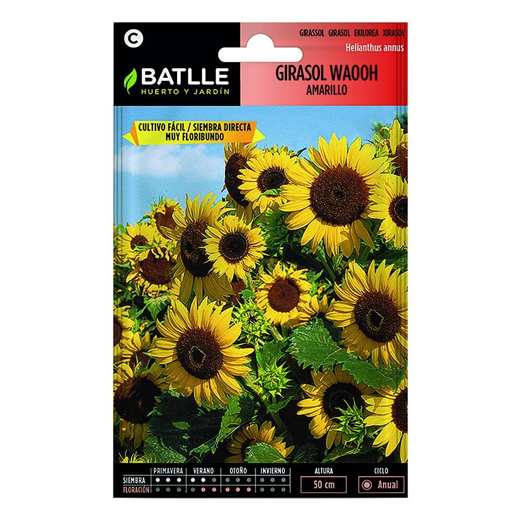 Batlle Yellow Waooh Sunflower Seeds