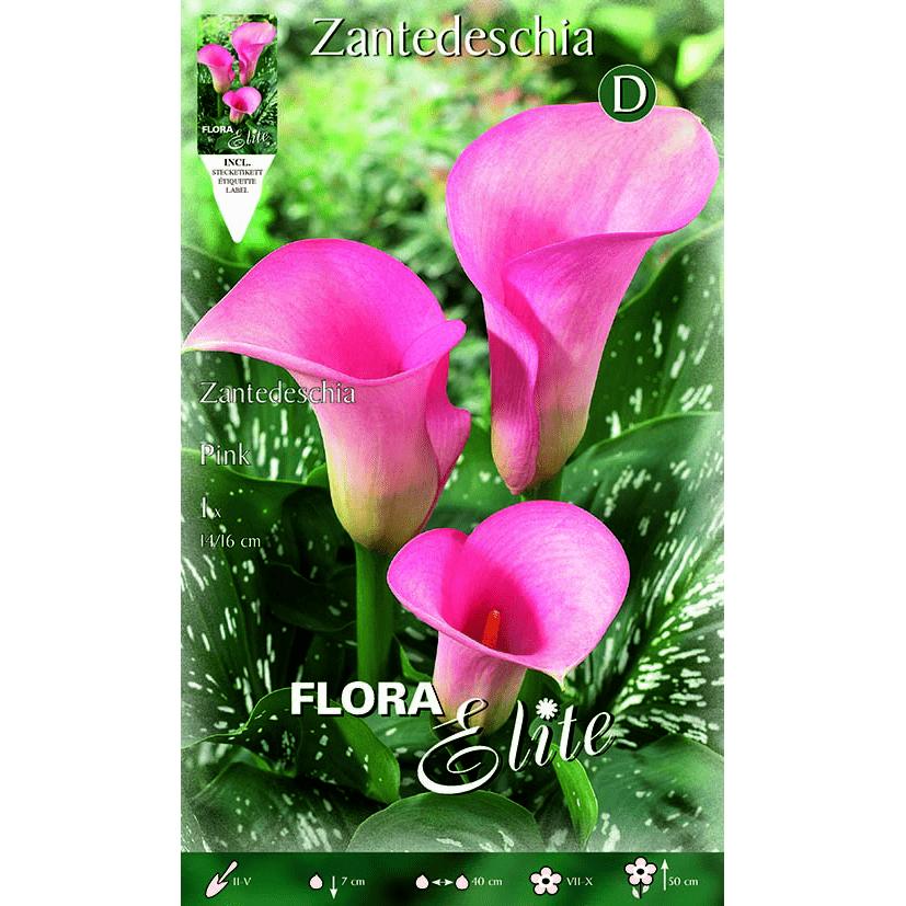 Roze calla-bol 1 stuk