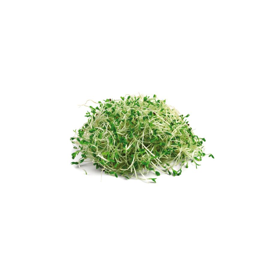 Lucerna 400 mg 200 tabletek El granero