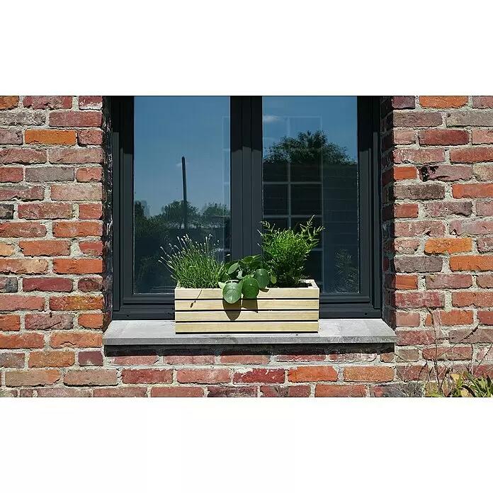 Balkongplanteringslåda Horizon 60 cm
