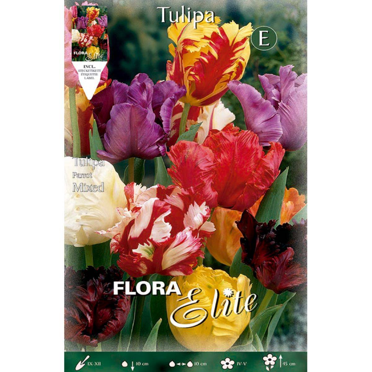 Bulbes de tulipes Papagayo, mélange de 7 unités