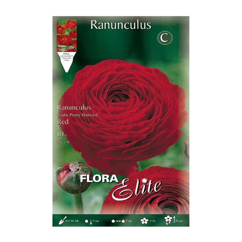 Red Buttercup Bulbs, 10 pcs